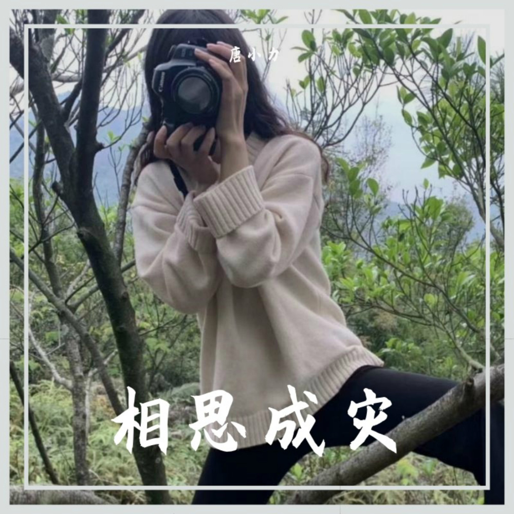 无期 (DJ版)