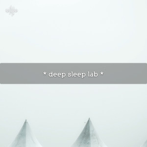 อัลบัม * deep sleep lab * ศิลปิน White Noise Therapy