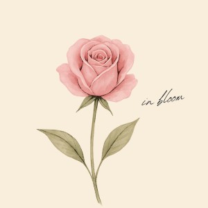 收聽Hannah Schaefer的in bloom歌詞歌曲