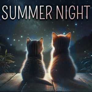 Summer Night dari Danny McCartney