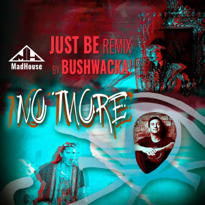 Listen to No More (Goodbye) - Just Be Remix By Bushwacka! (- Just Be Remix By Bushwacka!) song with lyrics from Madhouse