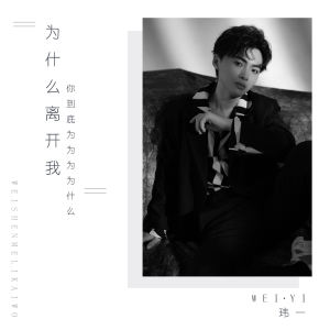 Listen to 为什么离开我 (你到底为为为为什么) (伴奏) song with lyrics from 玮一