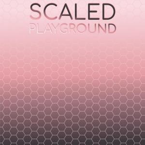 Album Scaled Playground from Various