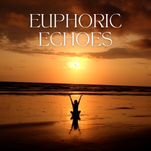Album Euphoric Echoes oleh Baby Sleeping Music