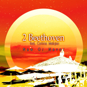 Listen to Now or Never song with lyrics from 2 Beethoven