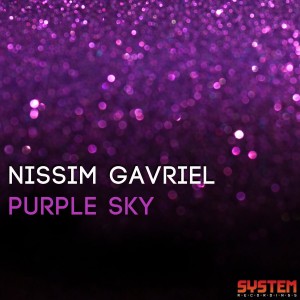 ดาวน์โหลดและฟังเพลง Purple Sky (Verche Remix) พร้อมเนื้อเพลงจาก Nissim Gavrie