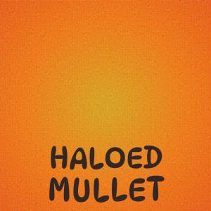 Listen to Concluding Concluding song with lyrics from Dilene Detta