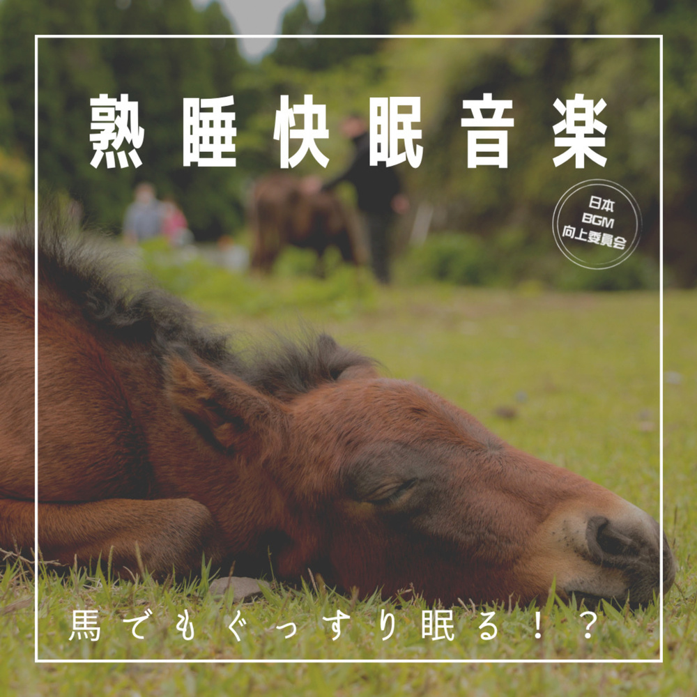 Sleep on a horse! Sleep introduction BGM