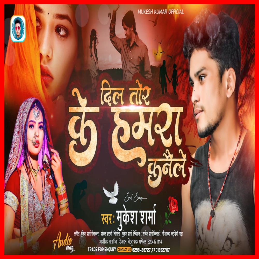 Dil Toir Ke Hamra Kanaile (Bewafai Song)