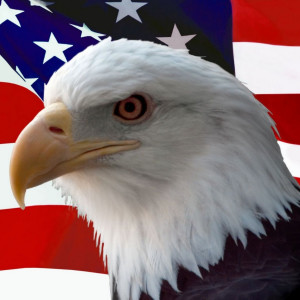 收听Walter Gold的The Eagle of the World歌词歌曲