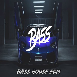 Listen to Bass House EDM song with lyrics from Electronica