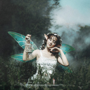 Album Fairy Tale from Slenderino