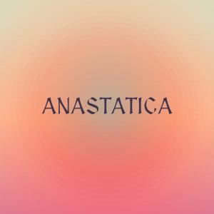 Anastatica dari Various