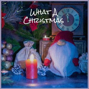 อัลบัม What A Christmas ศิลปิน Silvia Natiello-Spiller