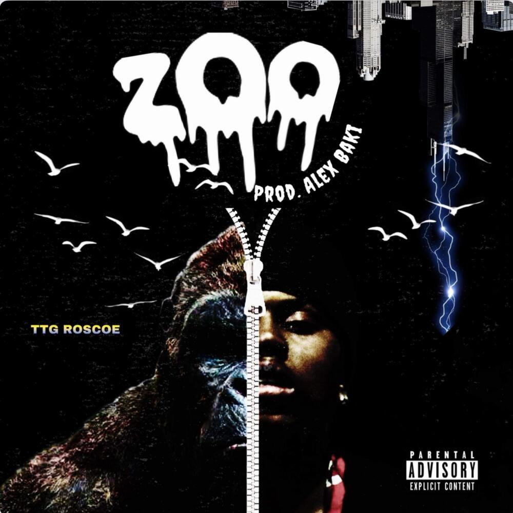 ZOO (Explicit)