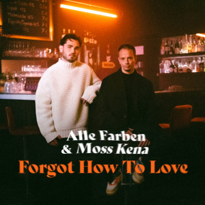 อัลบัม Forgot How to Love ศิลปิน Alle Farben