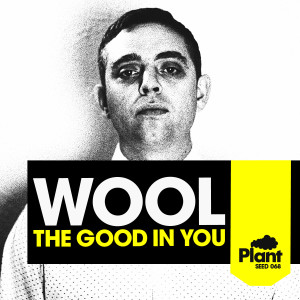 ดาวน์โหลดและฟังเพลง The Good in You พร้อมเนื้อเพลงจาก Wool