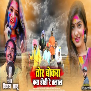 Listen to Tor Bokra kas Ho Hi Re Halal song with lyrics from Vijay Sahu