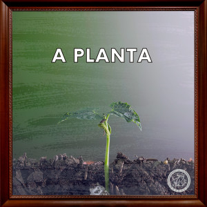 Album A Planta oleh B'z