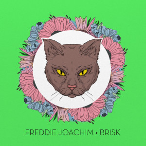 Album Brisk from Freddie Joachim