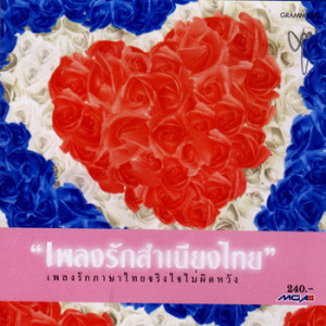 ดาวน์โหลดและฟังเพลง ไอ้หนุ่มผมยาว พร้อมเนื้อเพลงจาก ดนู ฮันตระกูล