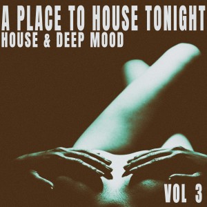 Various Artists的專輯A Place to House Tonight, Vol. 3