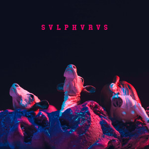 ดาวน์โหลดและฟังเพลง Disbelief พร้อมเนื้อเพลงจาก Svlphvrvs
