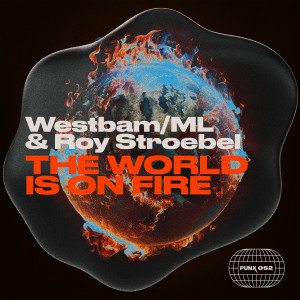 Roy Stroebel的專輯The World Is On Fire