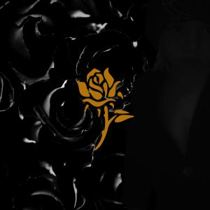 P1nk panther的專輯Stonecold Roses (Explicit)