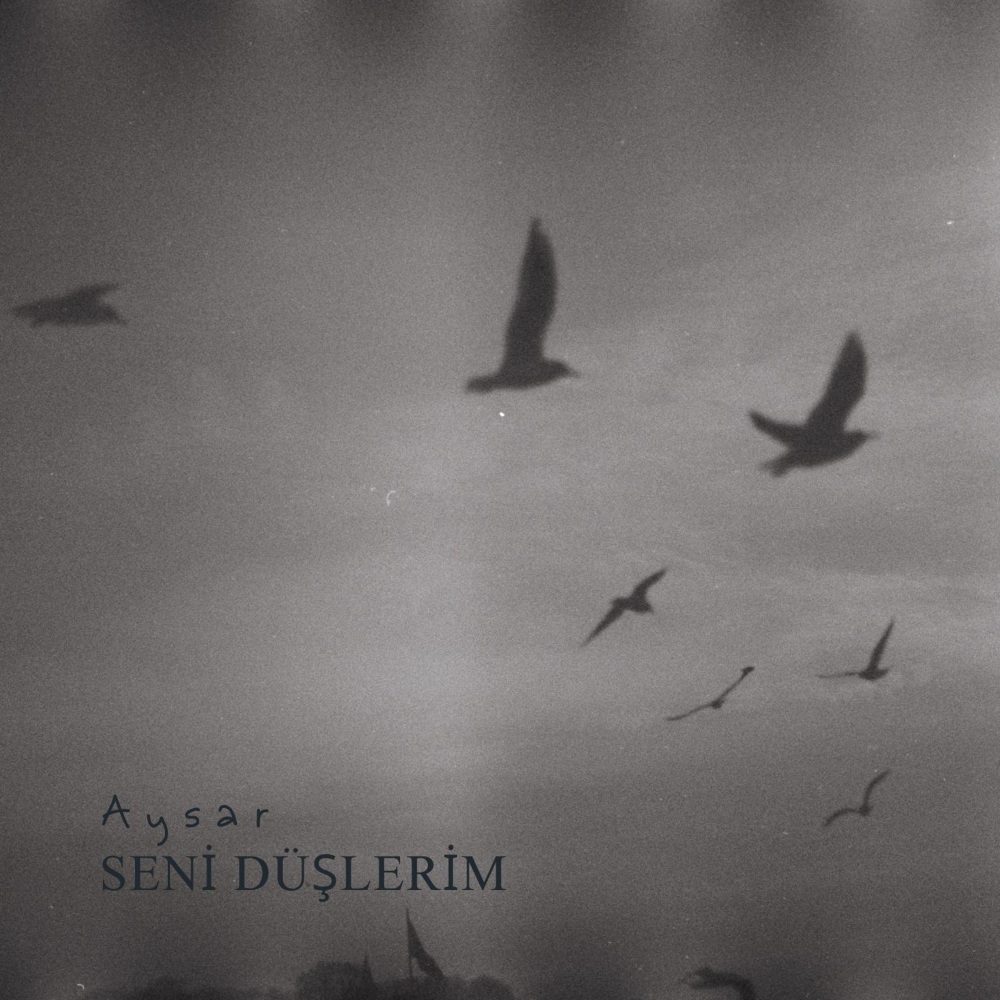seni düşlerim