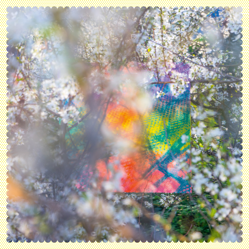 Bubbles at Overlook 25th March 2019