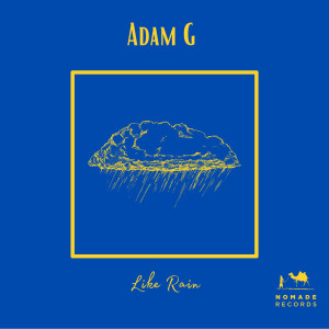 Album Like Rain from 