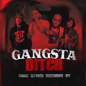 收聽Salahbabyy的Gangsta (feat. Rico 2 Smoove, Sly Payso & BFD) (Explicit)歌詞歌曲