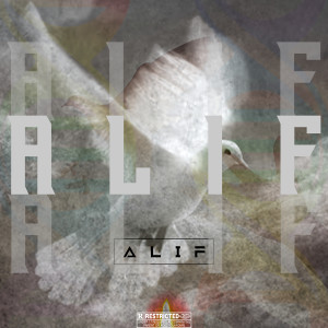 Album ALIF (Explicit) from Babar Sheikh