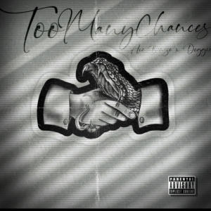 Doggie的專輯Too Many Chances (feat. Doggie) [Explicit]