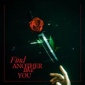 Album Find Another Like You oleh Antonique Rivela