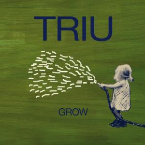 Listen to I 'm Yours song with lyrics from Triu