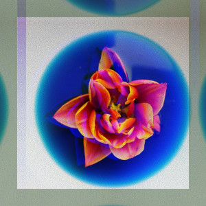 Thomas Fryland的專輯Another Place