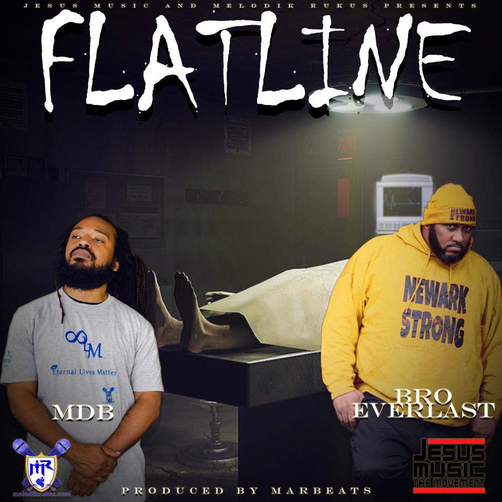 Flatline (feat. Bro Everlast)