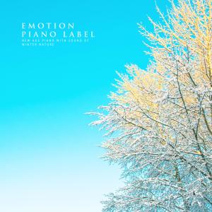 Various Artists的專輯New Age Piano With Sound Of Winter Nature (Nature Ver.)