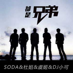 Listen to 关山酒 (DJ版) song with lyrics from 苏可可