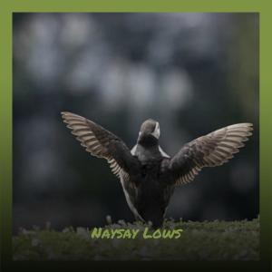 Listen to Inasmuch song with lyrics from Rele Neno
