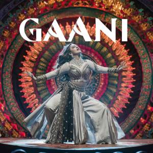 收聽Amjad Hassan RJP的Gaani LoFi歌詞歌曲