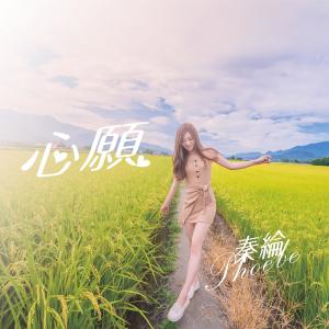 收聽秦綸的心願歌詞歌曲