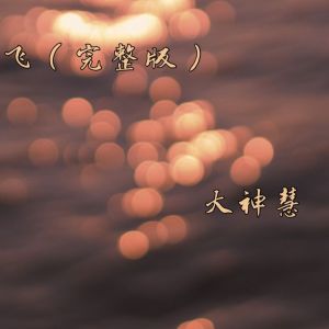 Listen to 飞 (完整版) song with lyrics from 空