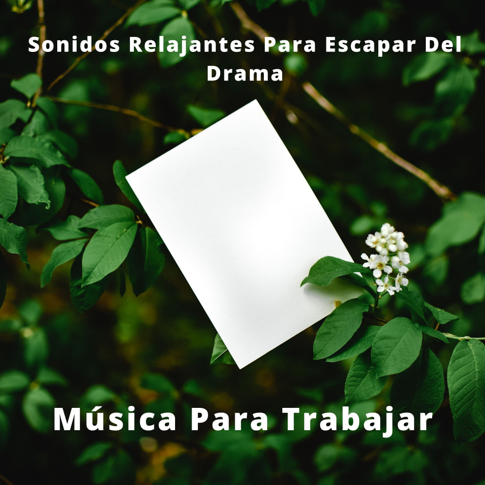 Sentimientos Para La Inquietud
