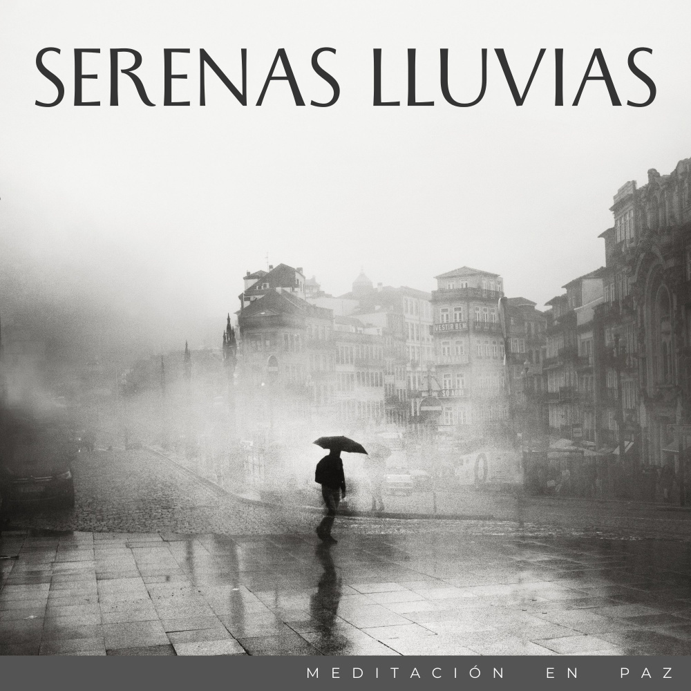 Sutil Zumbido De Lluvia