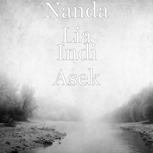 收聽Nanda Lia的Indi Asek歌詞歌曲