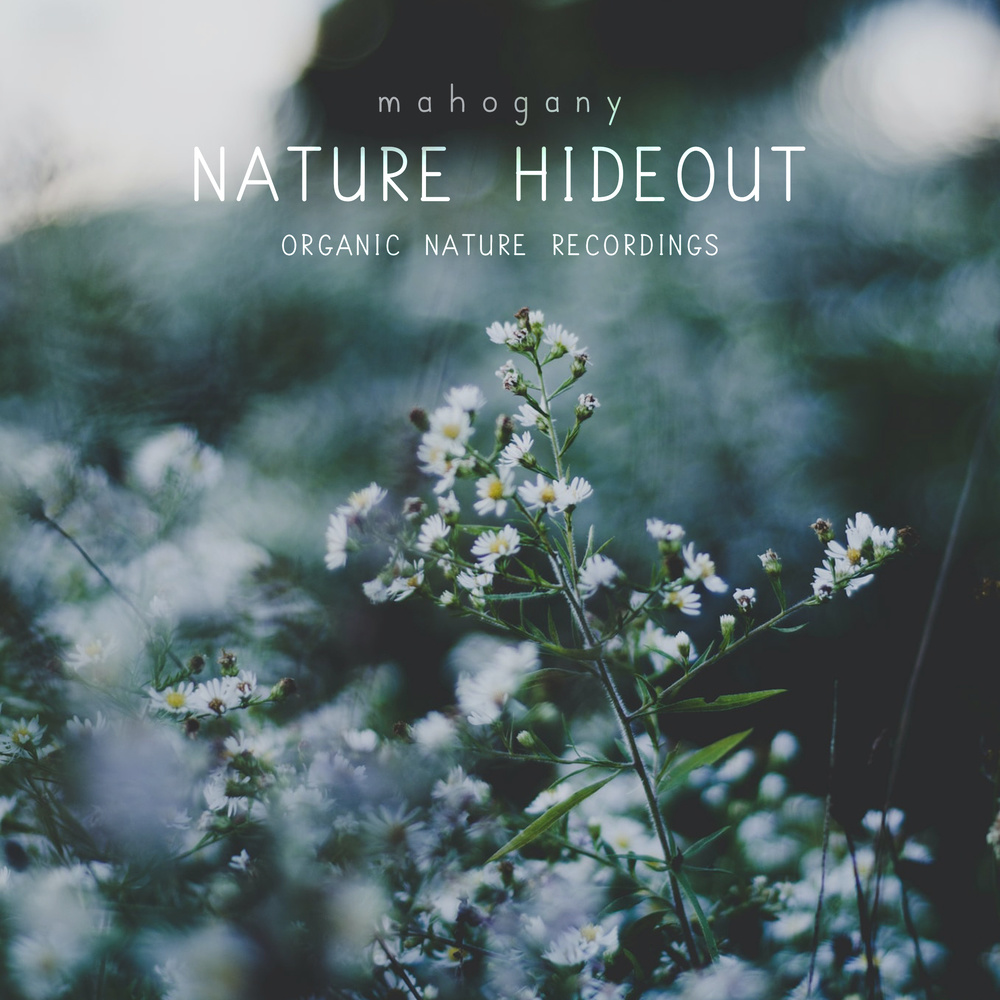 Nature Night-time