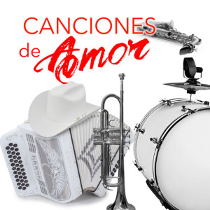 Listen to El Hombre Que Mas Te Amó (Norteño) song with lyrics from Honor Del Norte